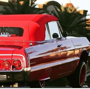 Meet your Posher, Dexter